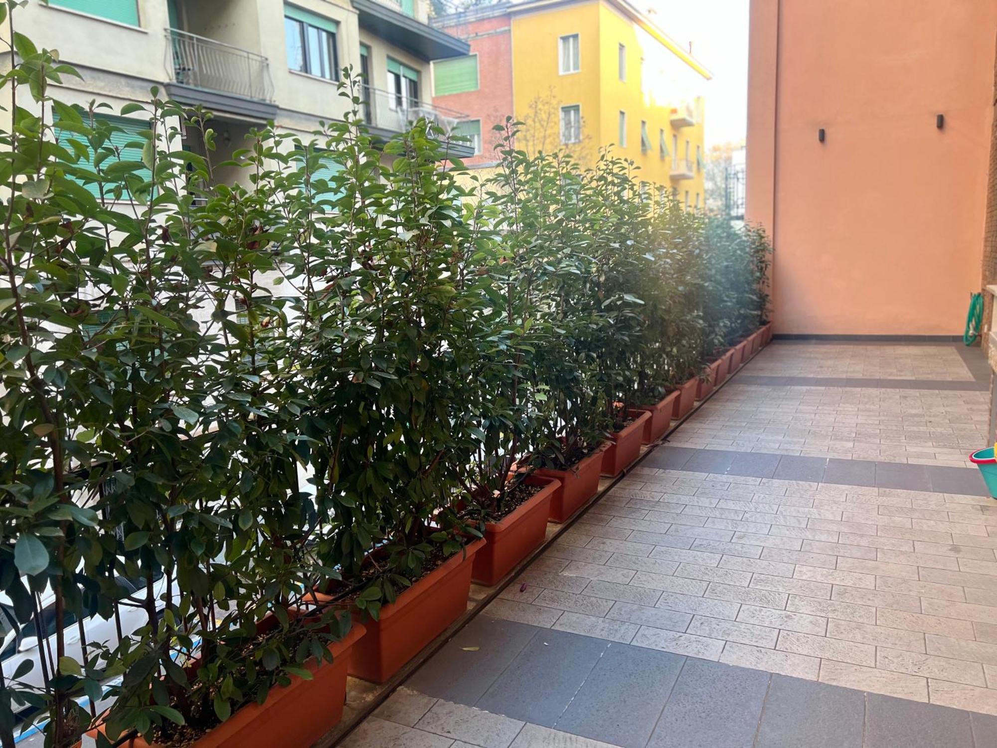 Borghesi - Nel Centro Di !